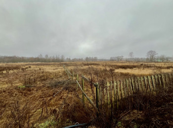 Продаж земельної ділянки в р-ні Бобровиці (навпроти Престижу), Земельні ділянки