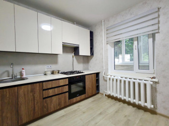 У продажу 1-кімнатна квартира ЧН-серії 39 м2, ремонт, вбудовані меблі, р-н Пухова (Березовий гай)., 1 кімнатні