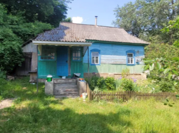 Охайний будинок- дача біля р. Снов, с. Седнів, Будинки