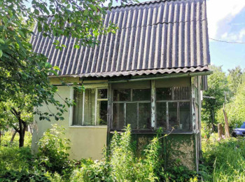 Дача в Киїнці, Дачі